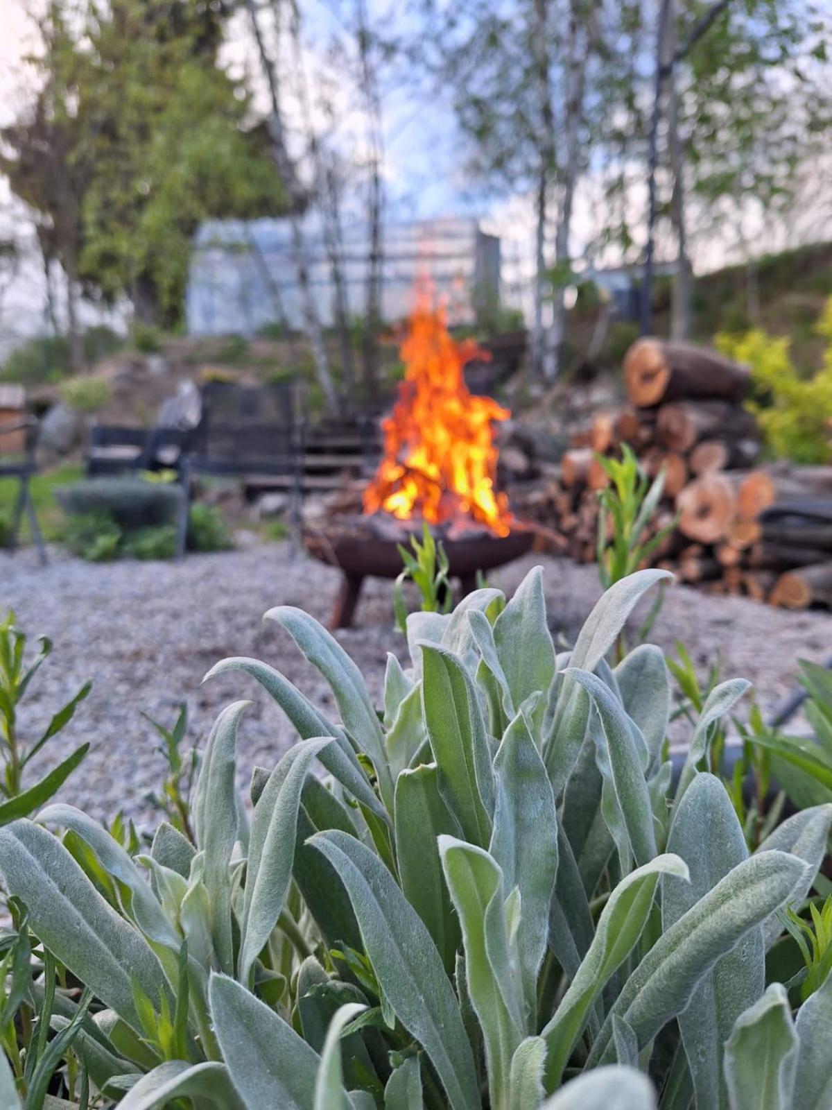 Domek Na Korcie Lubomierz  Esterno foto